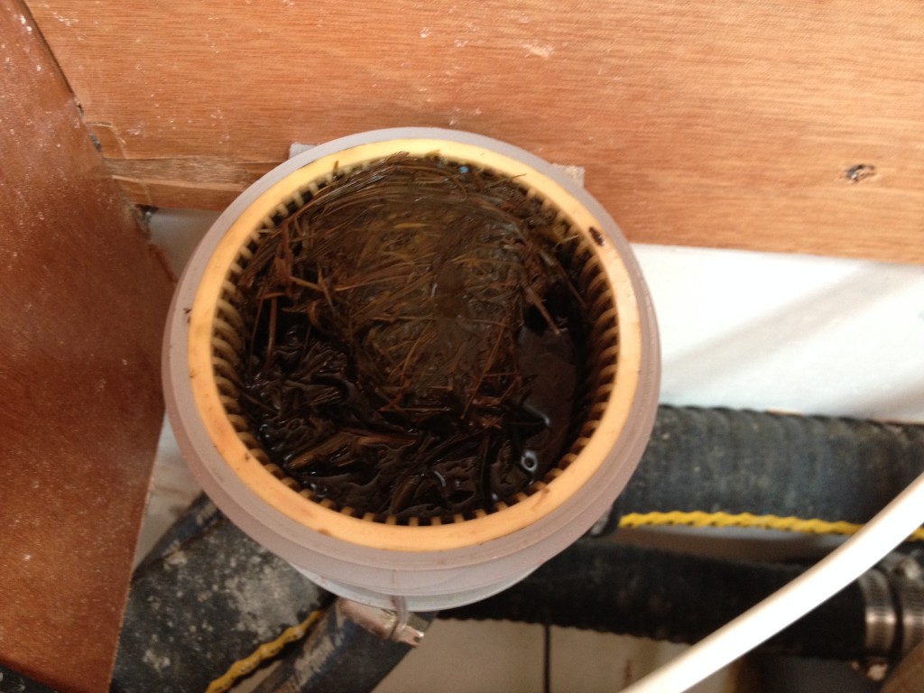 Genset Strainer chock full of weeds