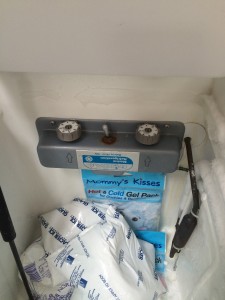 IMG_6091-freezer old thermostat