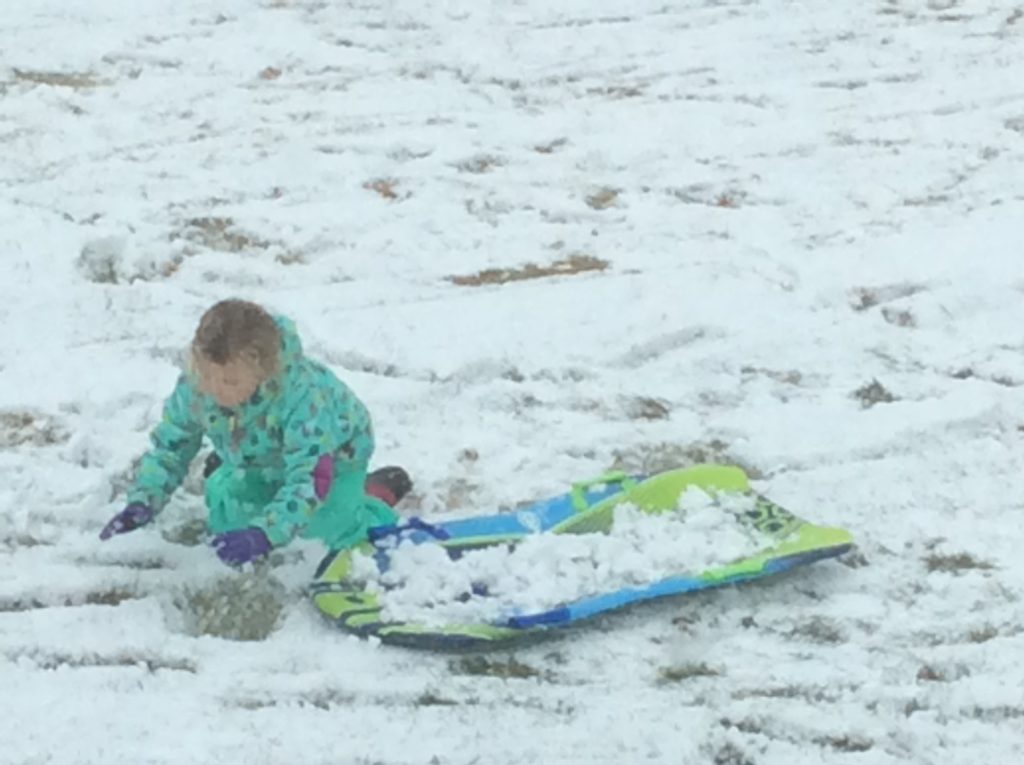 Ellie playing in the snow!