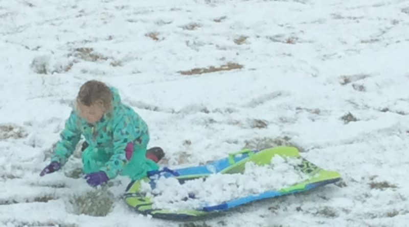 Ellie playing in the snow!
